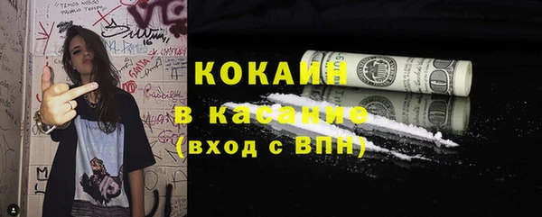 сатива Краснослободск