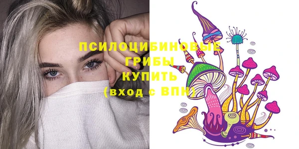 гашик Козловка