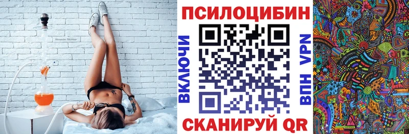 Псилоцибиновые грибы Psilocybe  shop официальный сайт  Кинешма  купить закладку 