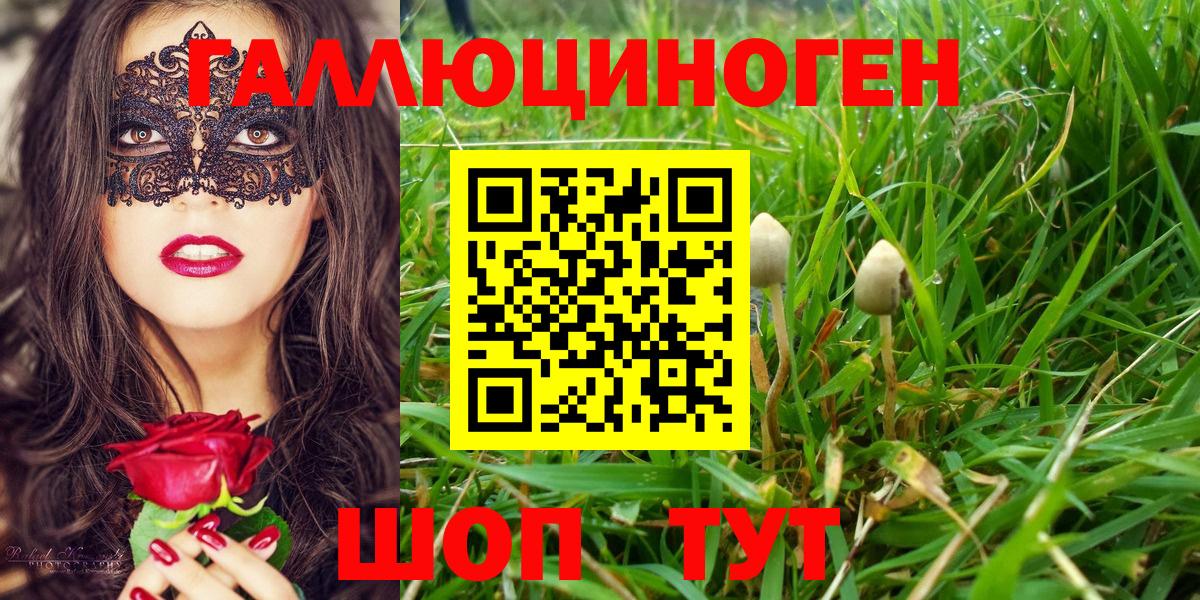 Галлюциногенные грибы Psilocybine cubensis  Галлюциногенные грибы прущие грибы  Кинешма  Вход с VPN 
