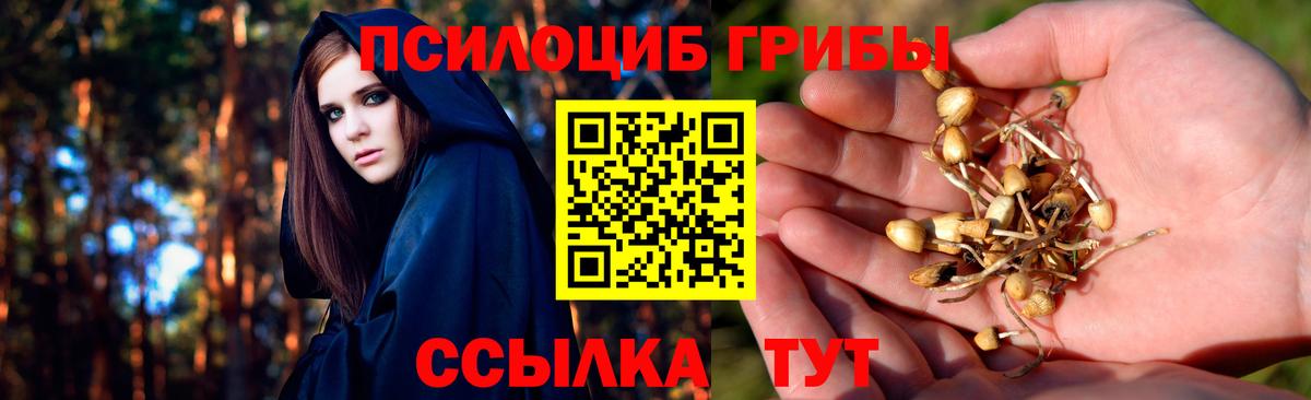 Галлюциногенные грибы MAGIC MUSHROOMS Кинешма